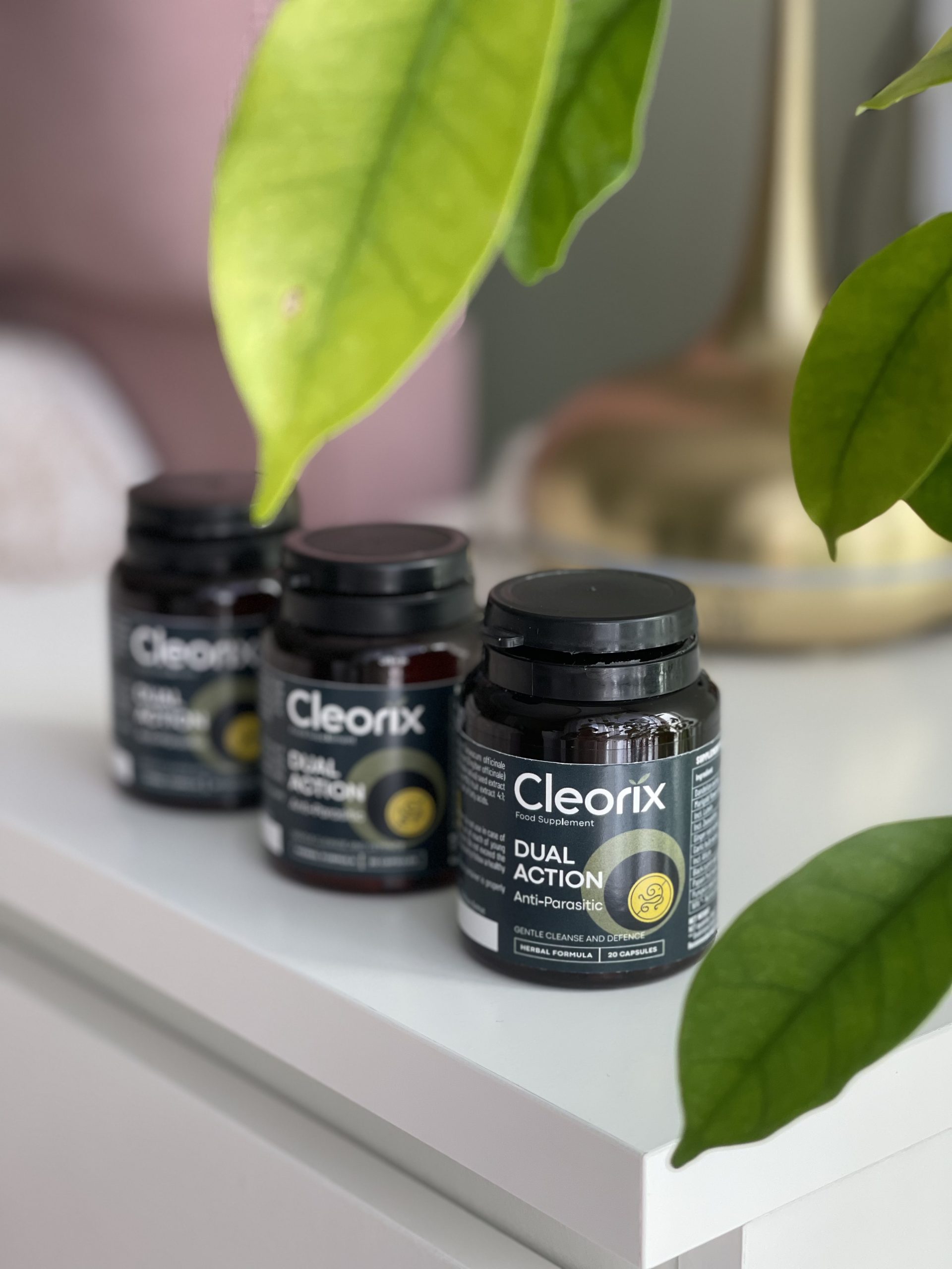 Základní biologické informace o parazitech v těle a jak se proti nim chránit s Cleorix  