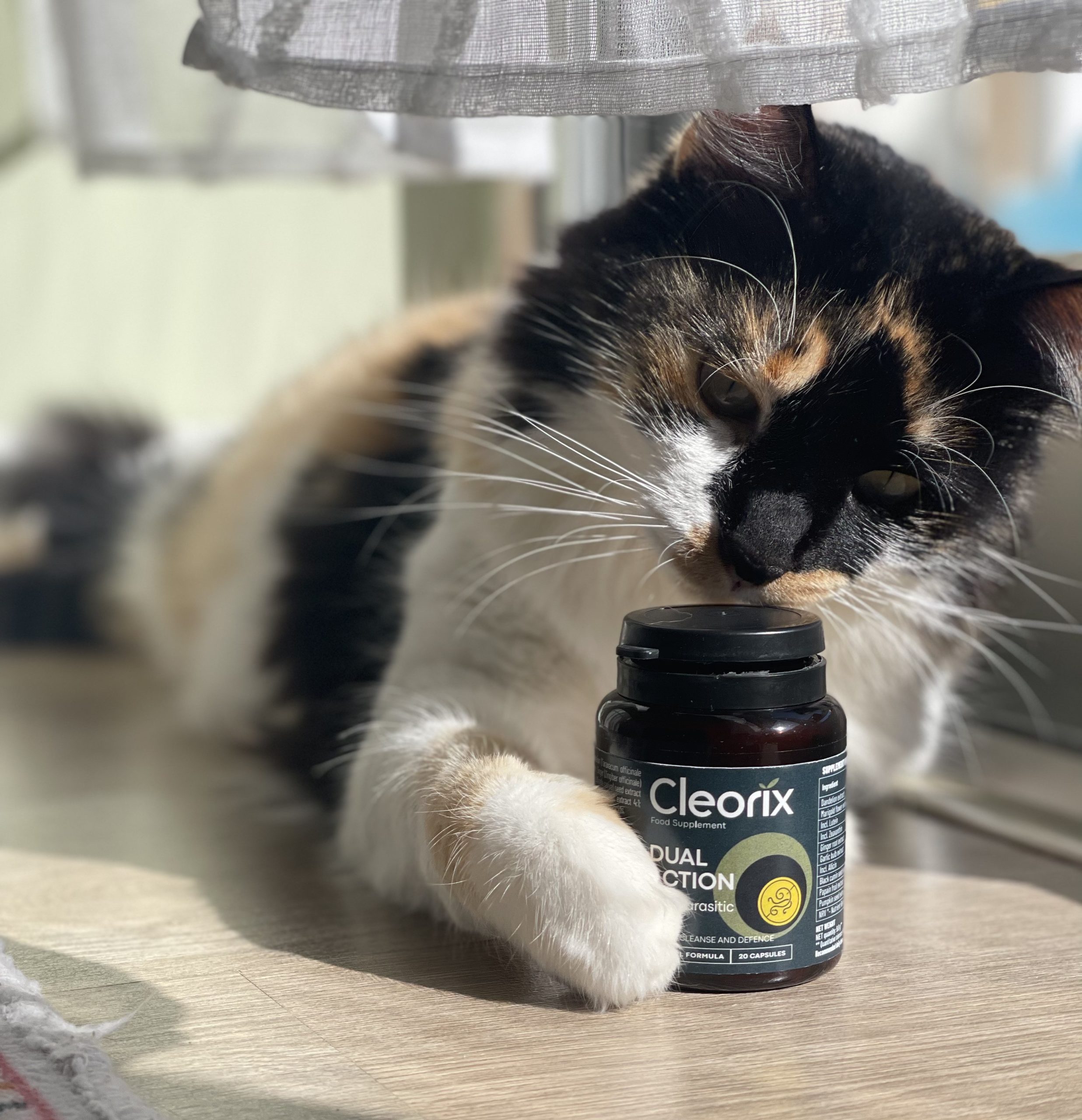 Nedávné vědecké objevy: parazité v lidském těle a jak se jich zbavit s Cleorix  